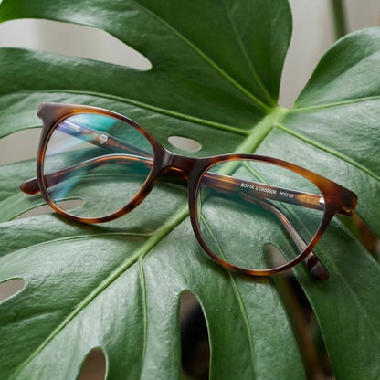 Lentes ópticos Sofia Carey entre hojas botánicas naturales diseño sustentable Bonoboss #editorial_sustentabilidad #color_carey