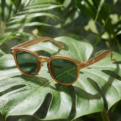 Primer plano frontal Waimea RPET gafas polarizadas tono café #color_brown