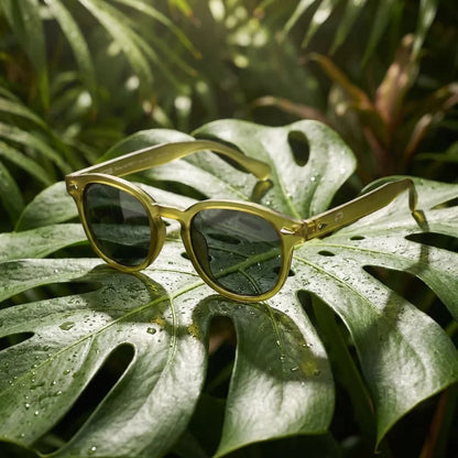 Vista frontal de Waimea RPET lentes polarizados hombre color olive #color_olive