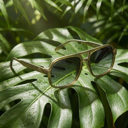 Lentes sol Orson RPET polarizados reciclado olive blue composicion botanica monstera tropical material oceano Bonoboss #editorial_grid2 #color_olive-blue